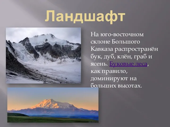 Ландшафт На юго-восточном склоне Большого Кавказа распространён бук, дуб, клён,