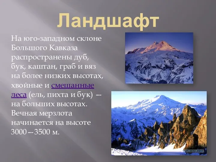 Ландшафт На юго-западном склоне Большого Кавказа распространены дуб, бук, каштан,