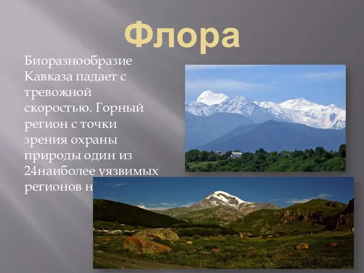 Флора Биоразнообразие Кавказа падает с тревожной скоростью. Горный регион с