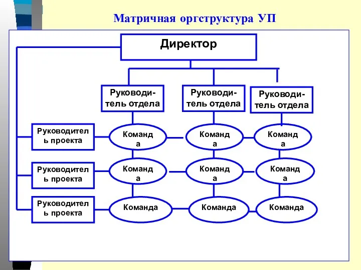 Матричная оргструктура УП