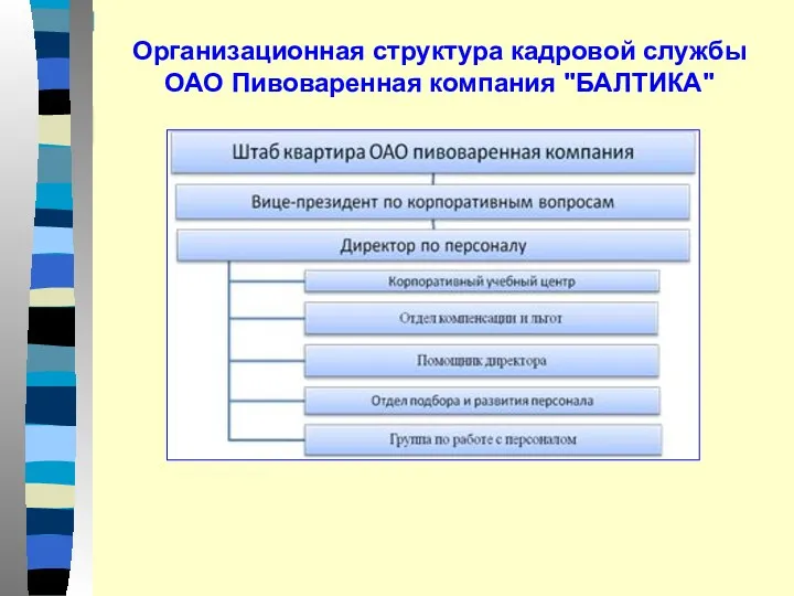 Организационная структура кадровой службы ОАО Пивоваренная компания "БАЛТИКА"