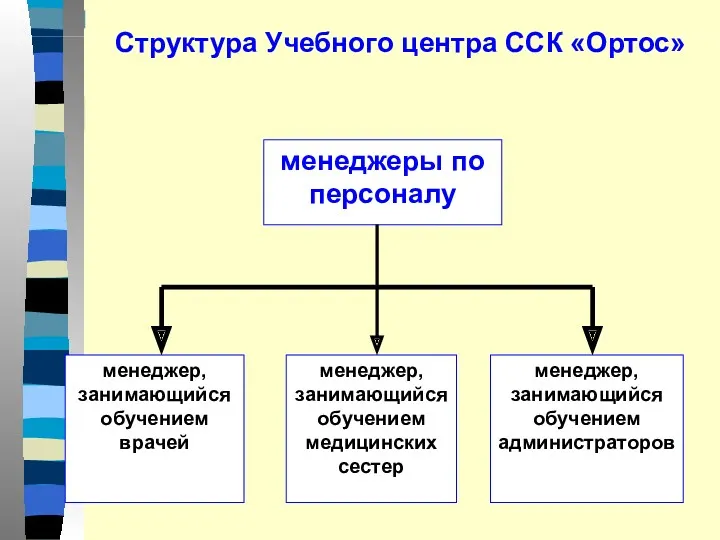 менеджеры по персоналу менеджер, занимающийся обучением врачей менеджер, занимающийся обучением