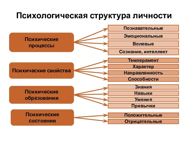 Психологическая структура личности Психические процессы Психические свойства Психические образования Психические