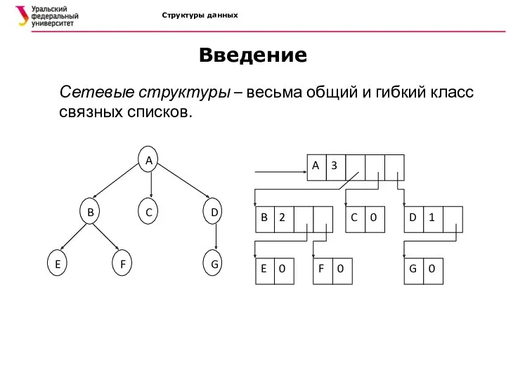 Структуры данных Введение Сетевые структуры – весьма общий и гибкий класс связных списков.