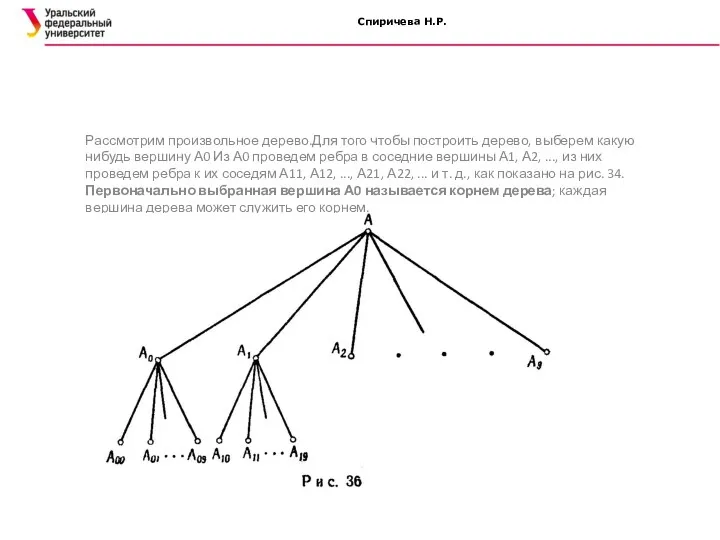 Спиричева Н.Р. Рассмотрим произвольное дерево.Для того чтобы построить дерево, выберем