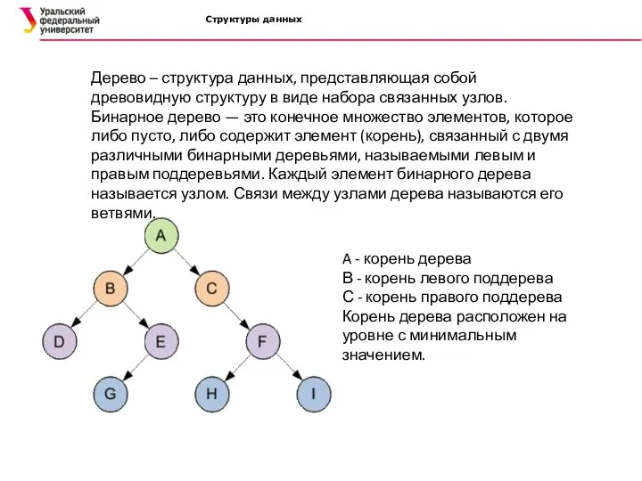 Структуры данных Дерево – структура данных, представляющая собой древовидную структуру