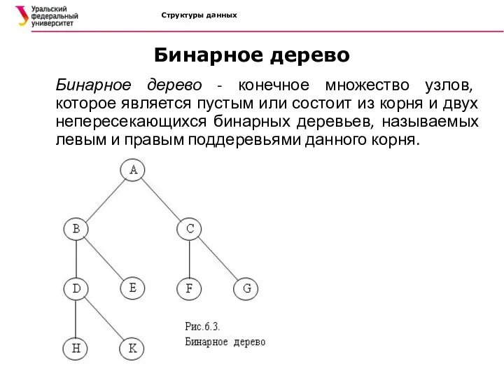 Структуры данных Бинарное дерево Бинарное дерево - конечное множество узлов,