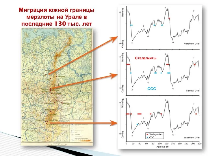 Миграция южной границы мерзлоты на Урале в последние 130 тыс. лет CCC Сталагмиты