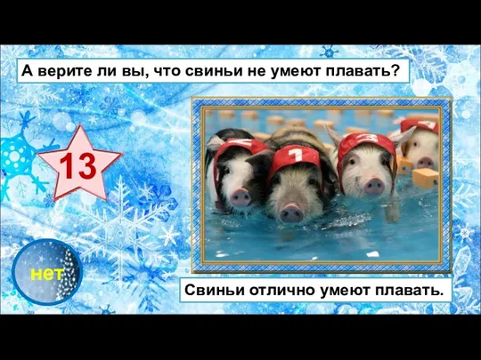 проверка нет А верите ли вы, что свиньи не умеют плавать? Свиньи отлично умеют плавать.