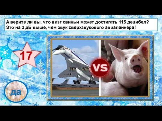 проверка да А верите ли вы, что визг свиньи может достигать 115 децибел?