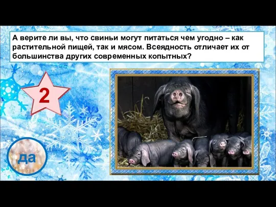 проверка да А верите ли вы, что свиньи могут питаться чем угодно –