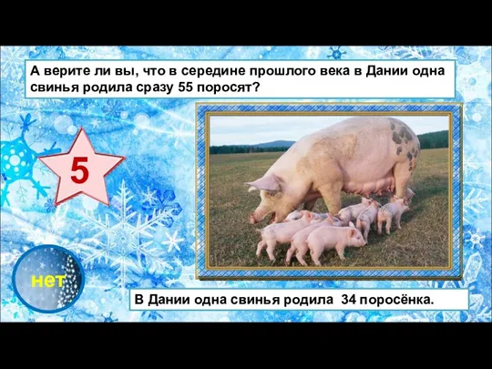 проверка нет В Дании одна свинья родила 34 поросёнка. А