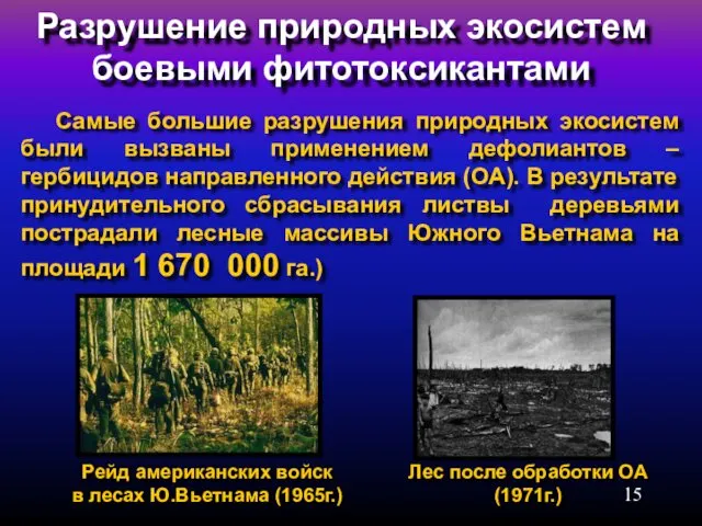 Разрушение природных экосистем боевыми фитотоксикантами Лес после обработки ОА (1971г.) Рейд американских войск