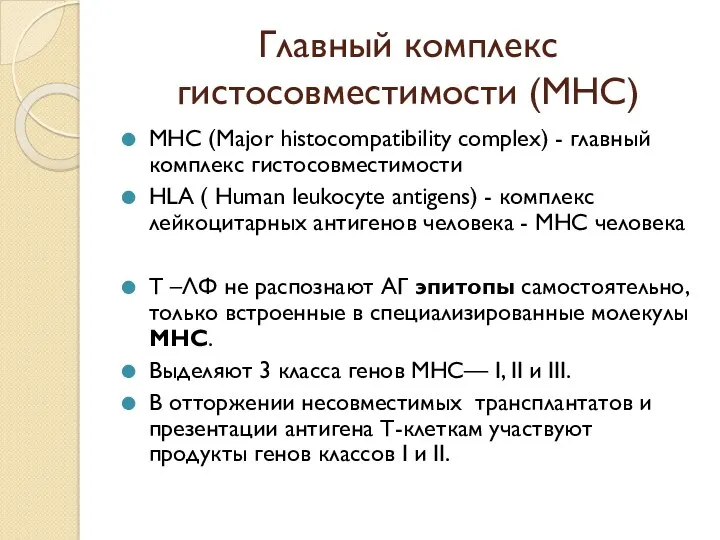 Главный комплекс гистосовместимости (MHC) MHC (Major histocompatibility complex) - главный