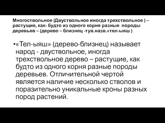 Многоствольное (Двуствольное иногда трехствольное ) – растущие, как- будто из