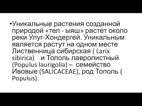 Уникальные растения созданной природой «тел - ыяш» растет около реки