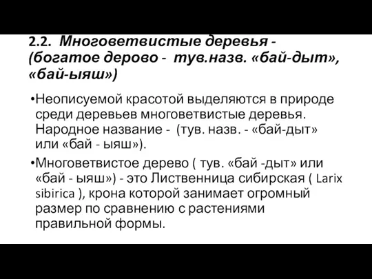 2.2. Многоветвистые деревья - (богатое дерово - тув.назв. «бай-дыт», «бай-ыяш»)