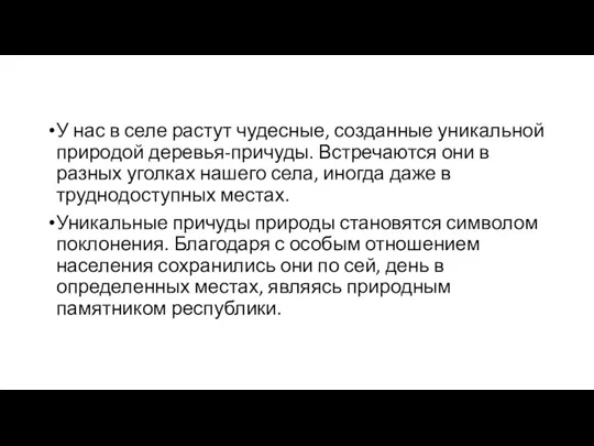 У нас в селе растут чудесные, созданные уникальной природой деревья-причуды.