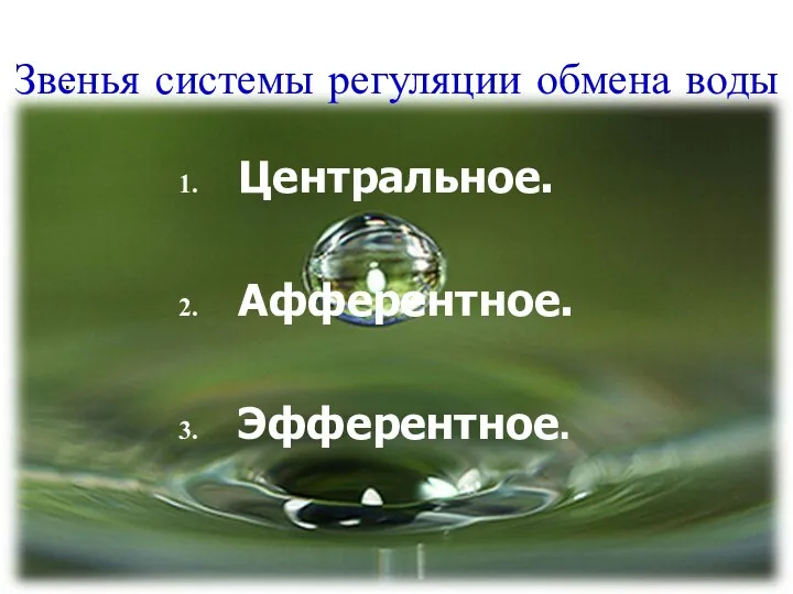 Звенья системы регуляции обмена воды Центральное. Афферентное. Эфферентное.