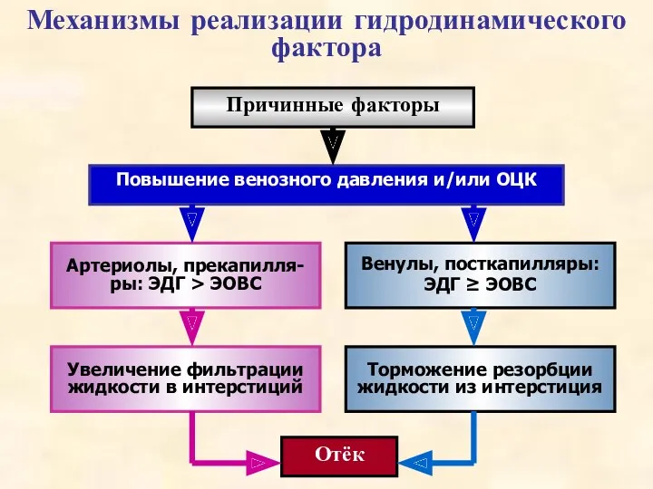 Механизмы реализации гидродинамического фактора