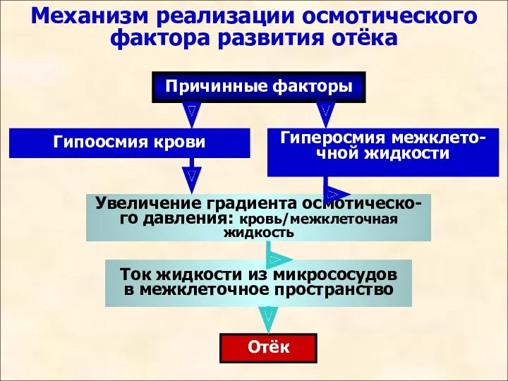 Механизм реализации осмотического фактора развития отёка