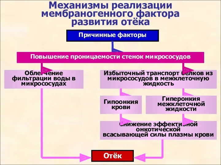 Механизмы реализации мембраногенного фактора развития отёка