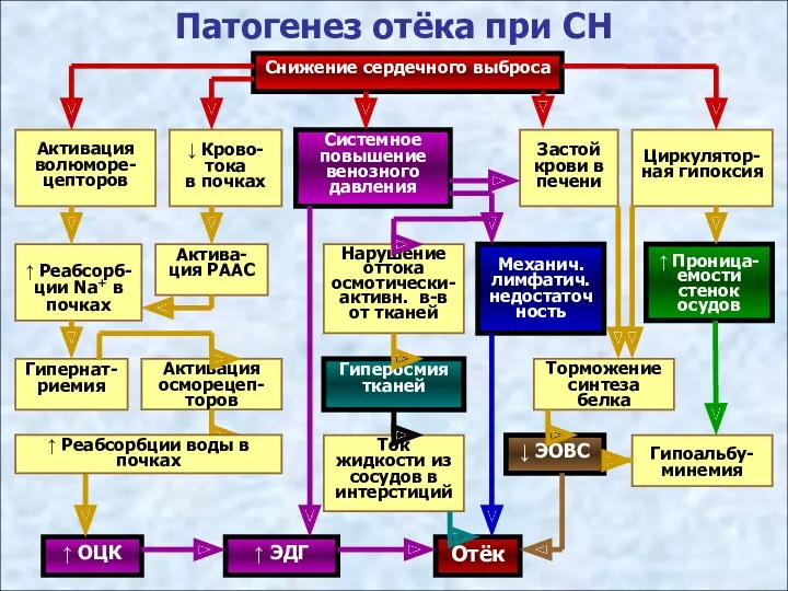 Патогенез отёка при СН