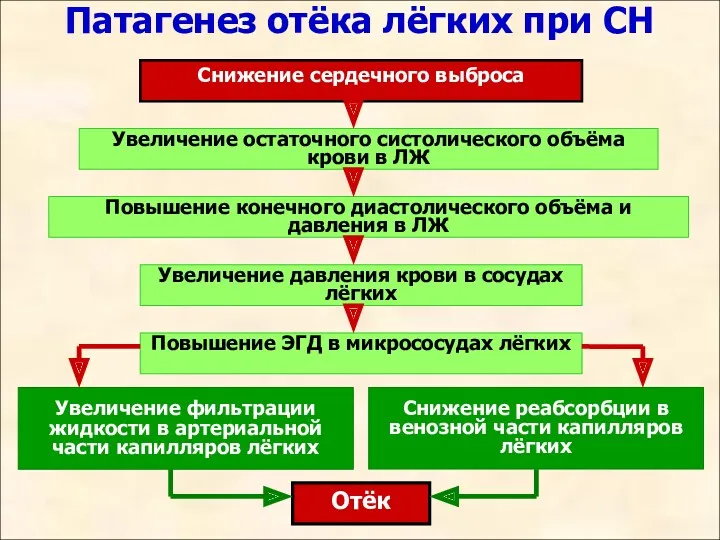 Патагенез отёка лёгких при СН