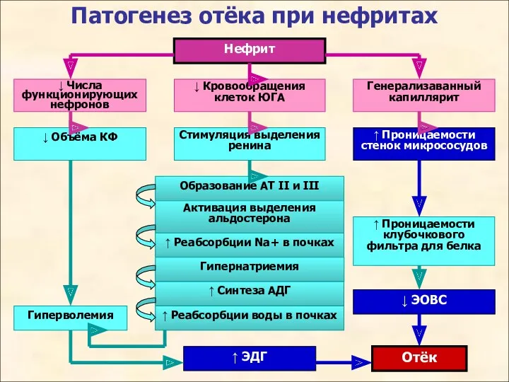 Патогенез отёка при нефритах