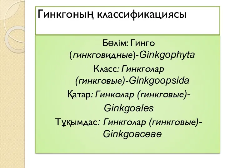 Гинкгоның классификациясы Бөлім: Гинго (гинкговидные)-Ginkgophyta Класс: Гинкголар (гинкговые)-Ginkgoopsida Қатар: Гинколар (гинкговые)- Ginkgoales Тұқымдас: Гинкголар (гинкговые)- Ginkgoaceae