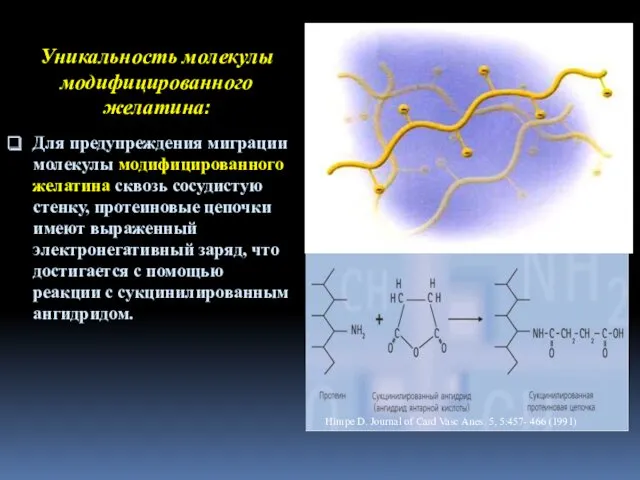 Уникальность молекулы модифицированного желатина: Для предупреждения миграции молекулы модифицированного желатина