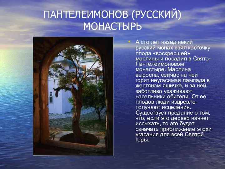 ПАНТЕЛЕИМОНОВ (РУССКИЙ) МОНАСТЫРЬ А сто лет назад некий русский монах взял косточку плода