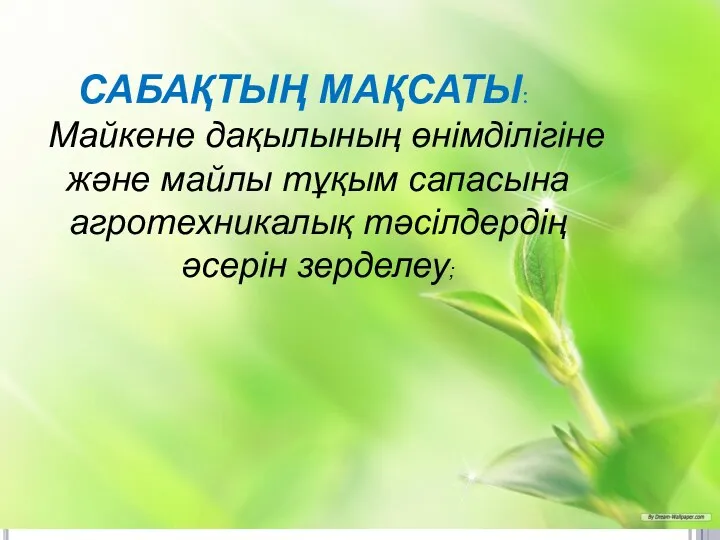 САБАҚТЫҢ МАҚСАТЫ: Майкене дақылының өнімділігіне және майлы тұқым сапасына агротехникалық тәсілдердің әсерін зерделеу;