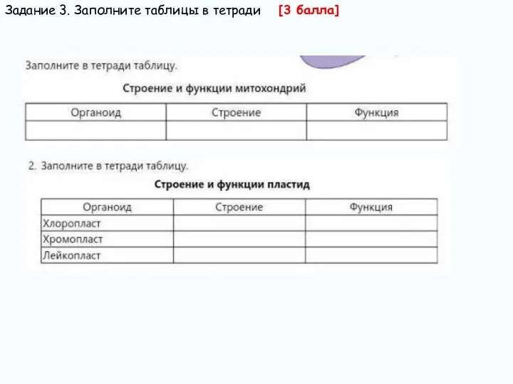 [3 балла] Задание 3. Заполните таблицы в тетради