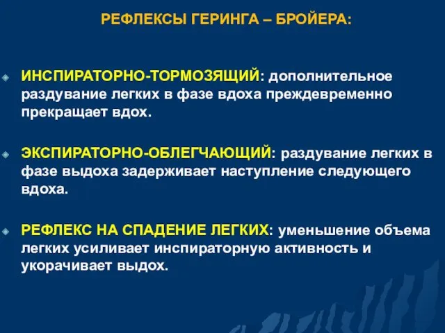 РЕФЛЕКСЫ ГЕРИНГА – БРОЙЕРА: ИНСПИРАТОРНО-ТОРМОЗЯЩИЙ: дополнительное раздувание легких в фазе