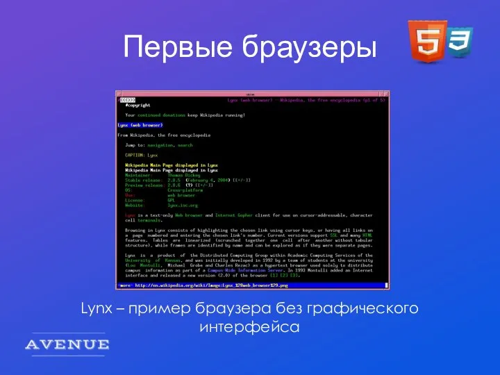 Первые браузеры Lynx – пример браузера без графического интерфейса