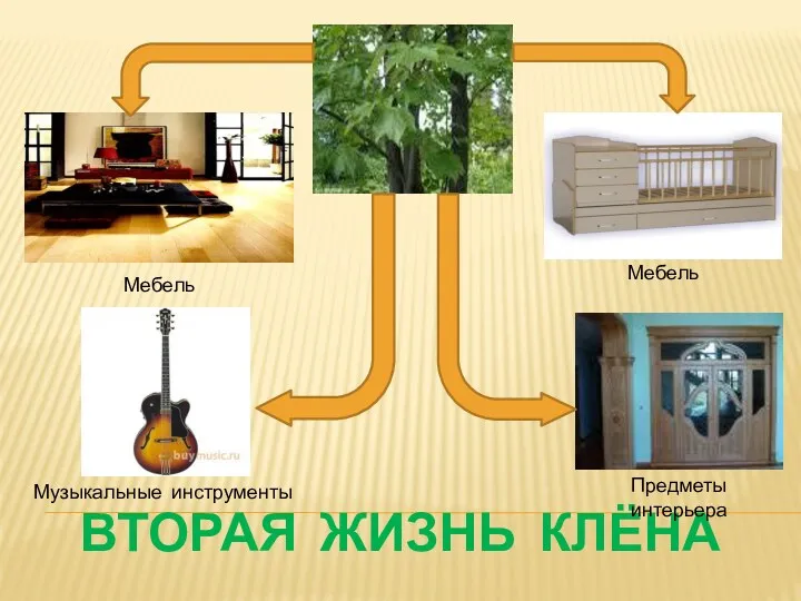 ВТОРАЯ ЖИЗНЬ КЛЁНА Мебель Предметы интерьера Музыкальные инструменты Мебель