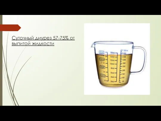 Суточный диурез 57-75% от выпитой жидкости