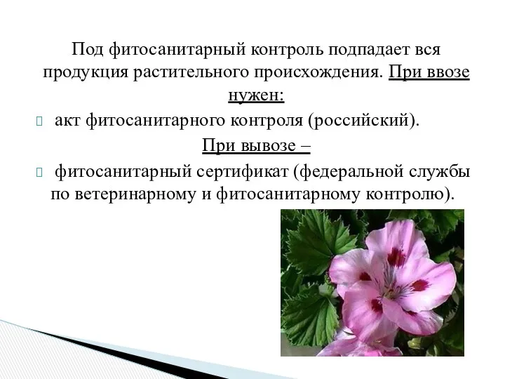 Под фитосанитарный контроль подпадает вся продукция растительного происхождения. При ввозе