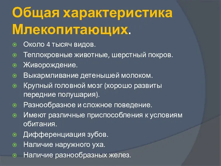 Общая характеристика Млекопитающих. Около 4 тысяч видов. Теплокровные животные, шерстный