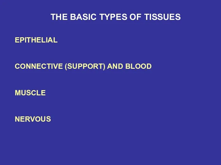 THE BASIC TYPES OF TISSUES EPITHELIAL CONNECTIVE (SUPPORT) AND BLOOD MUSCLE NERVOUS