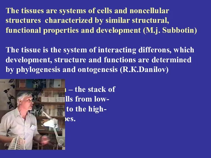 The tissues are systems of cells and noncellular structures characterized