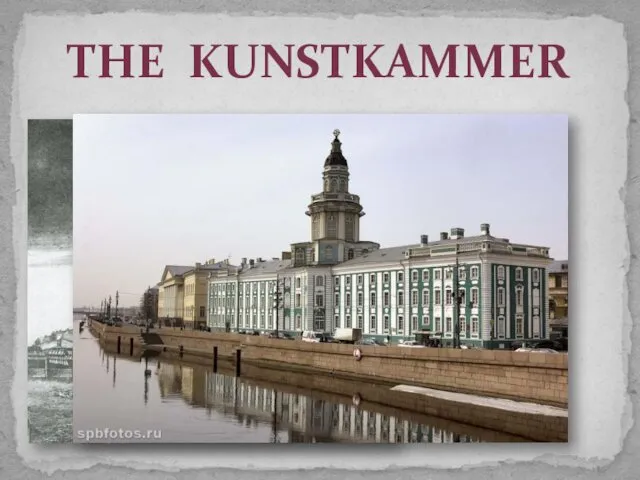 THE KUNSTKAMMER