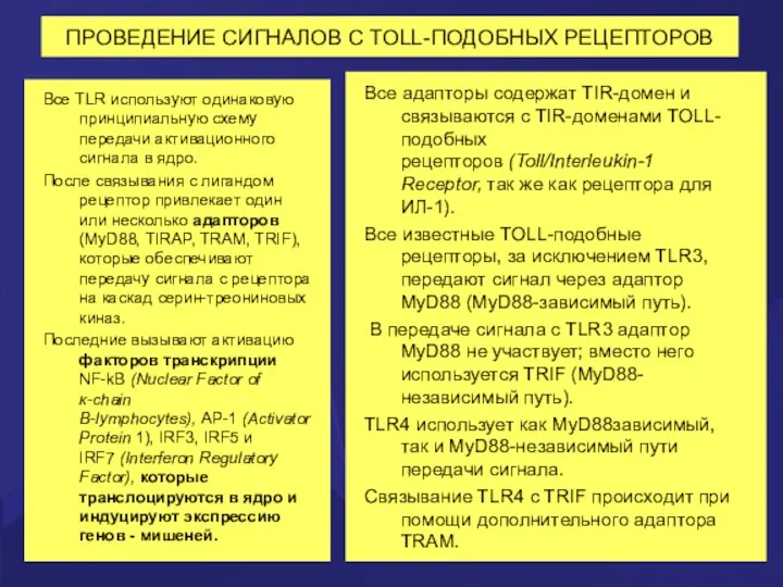 ПРОВЕДЕНИЕ СИГНАЛОВ С TOLL-ПОДОБНЫХ РЕЦЕПТОРОВ Все TLR используют одинаковую принципиальную