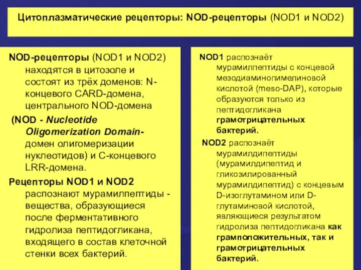 Цитоплазматические рецепторы: NOD-рецепторы (NOD1 и NOD2) NOD-рецепторы (NOD1 и NOD2)