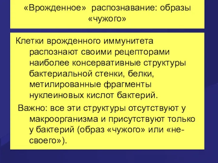 «Врожденное» распознавание: образы «чужого» Клетки врожденного иммунитета распознают своими рецепторами