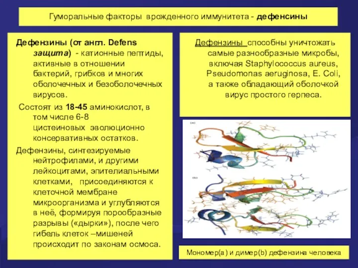 Гуморальные факторы врожденного иммунитета - дефенсины Дефензины (от англ. Defens