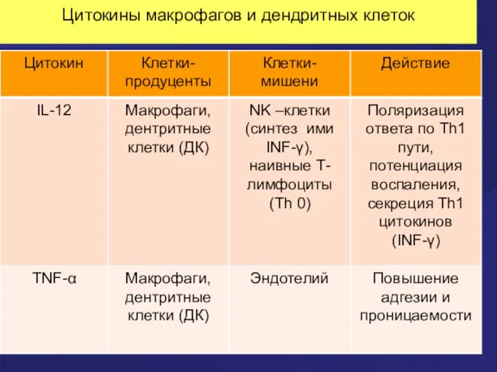 Цитокины макрофагов и дендритных клеток