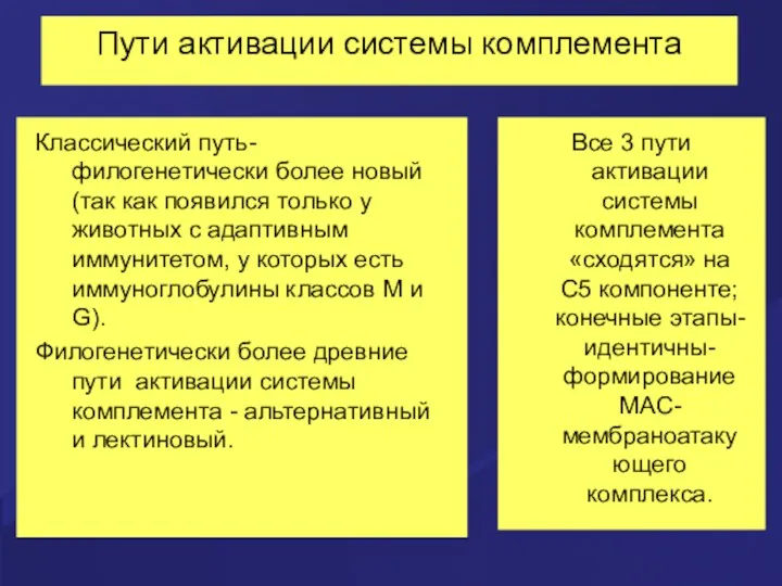 Пути активации системы комплемента Классический путь- филогенетически более новый (так