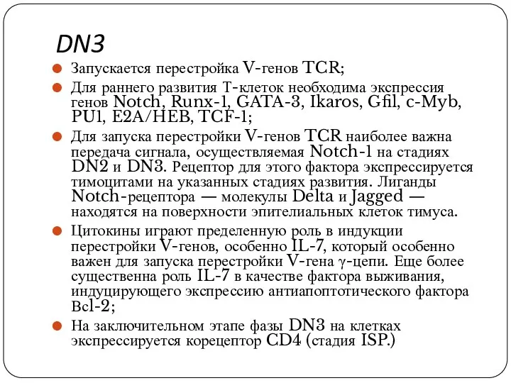 DN3 Запускается перестройка V-генов TCR; Для раннего развития Т-клеток необходима